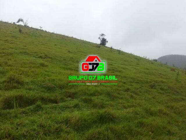 Sítio para Venda em Paraibuna - 3