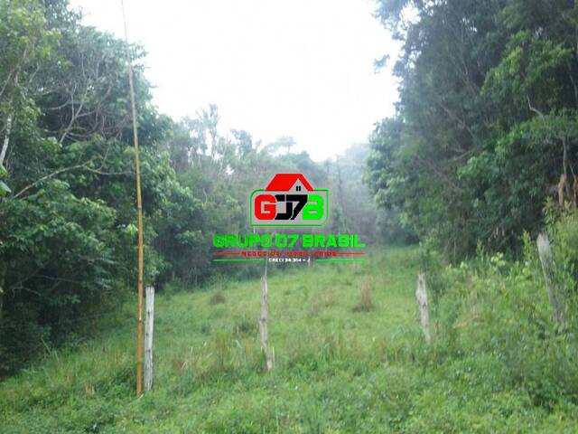 Sítio para Venda em Paraibuna - 4