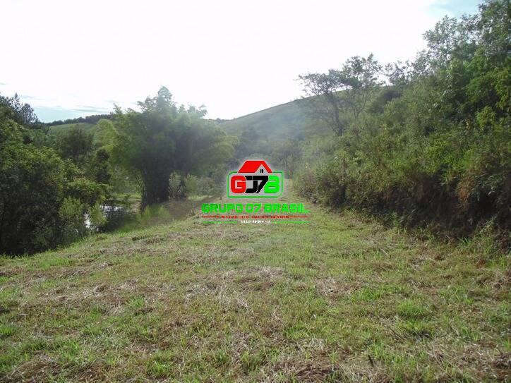 Sítio à venda com 5 quartos, 200m² - Foto 4