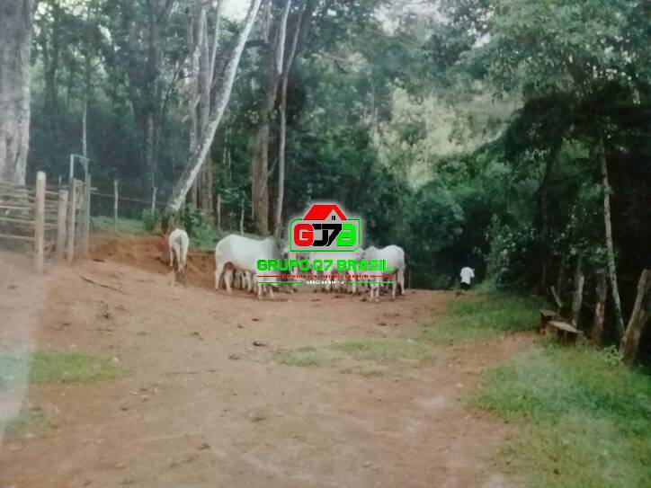 Sítio à venda com 4 quartos, 200m² - Foto 1