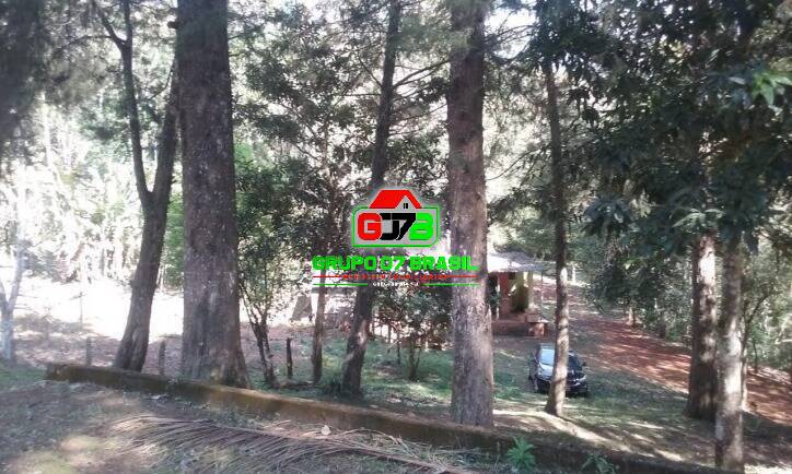 Sítio à venda com 4 quartos, 200m² - Foto 8