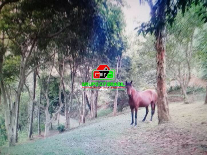 Sítio à venda com 4 quartos, 200m² - Foto 13
