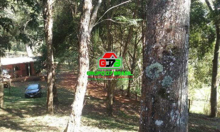 Sítio à venda com 4 quartos, 200m² - Foto 17