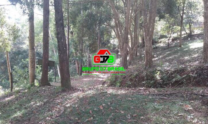 Sítio à venda com 4 quartos, 200m² - Foto 20