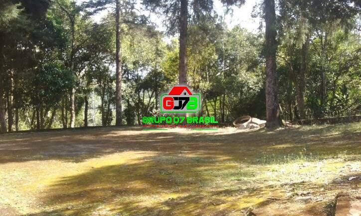 Sítio à venda com 4 quartos, 200m² - Foto 22