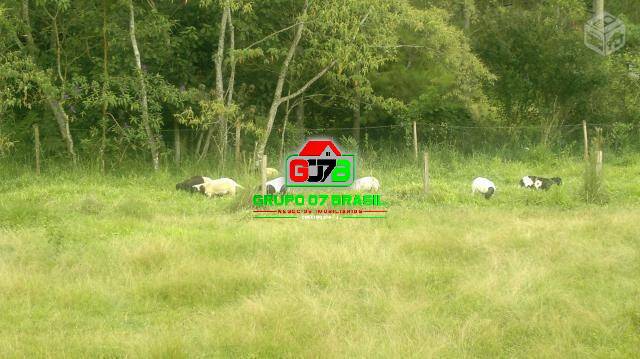 Terreno à venda, 871200m² - Foto 3