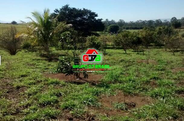 Terreno, 97 hectares - Foto 5