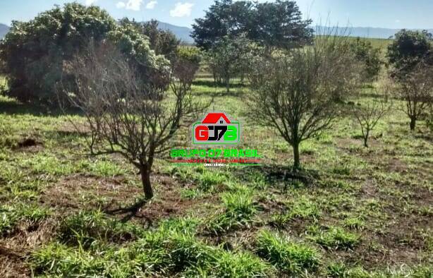 Terreno, 97 hectares - Foto 4
