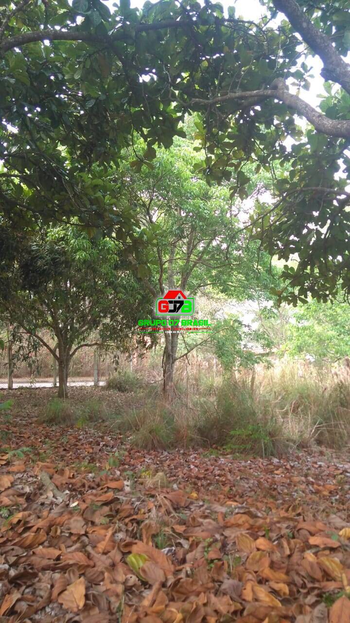 Terreno à venda, 5826m² - Foto 3
