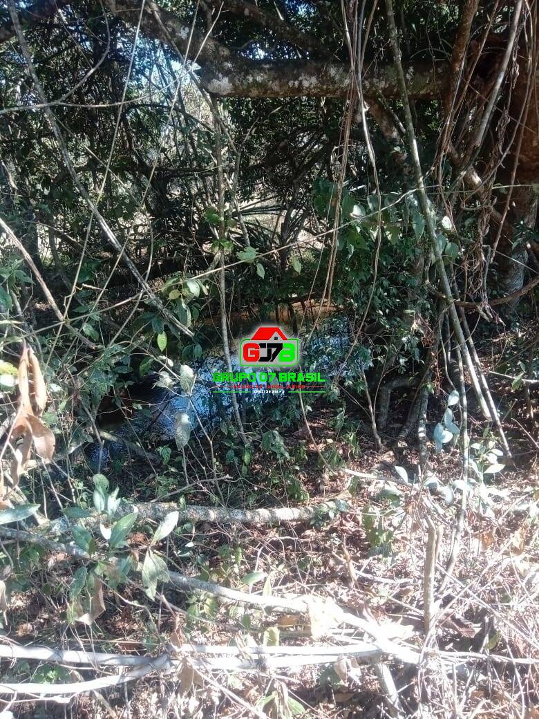 Terreno, 5000 m² - Foto 5