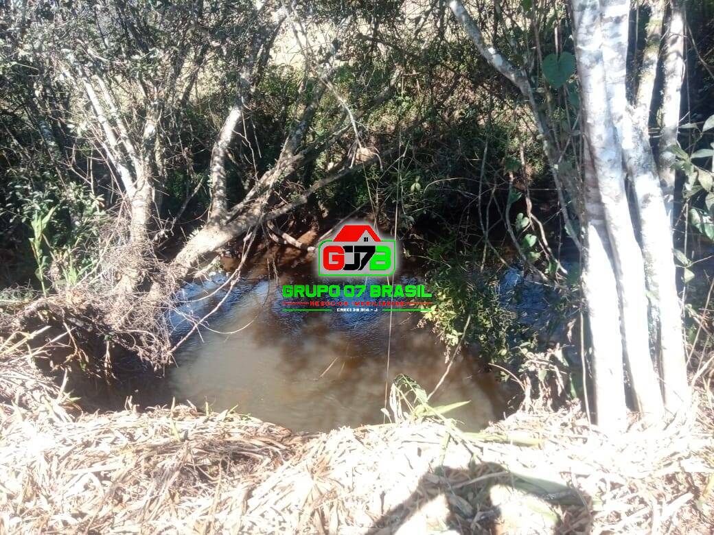 Terreno, 5000 m² - Foto 10