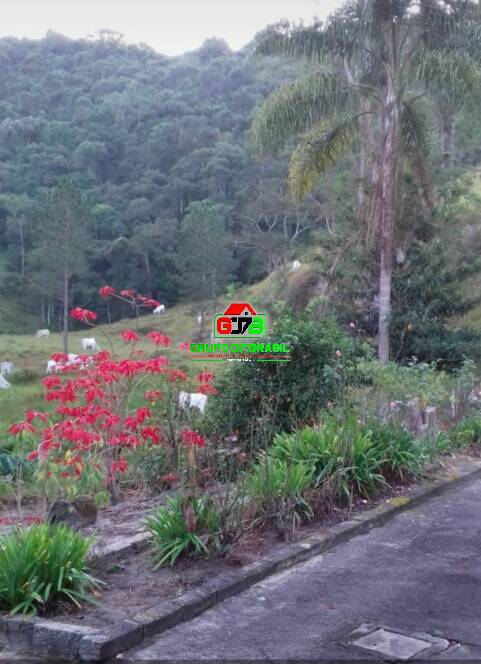 Terreno à venda, 300m² - Foto 3
