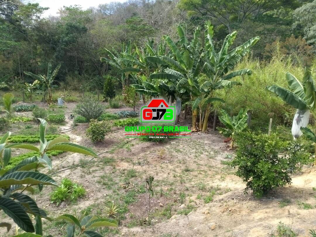 Chácara, 1 quarto, 2 hectares - Foto 4