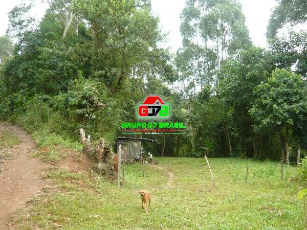 Terreno, 3 hectares - Foto 5