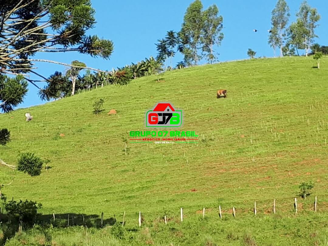 Sítio, 2 quartos, 80 m² - Foto 4