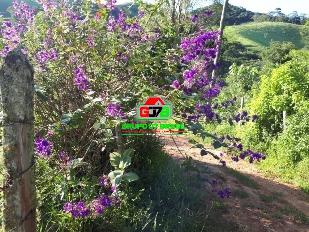 Sítio, 2 quartos, 80 m² - Foto 3