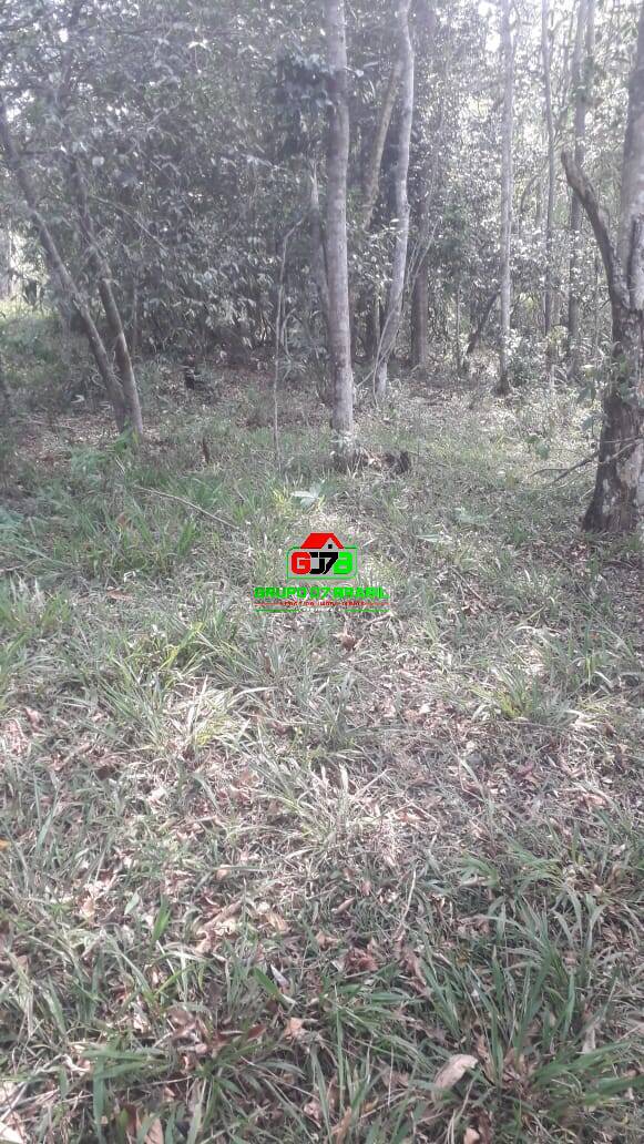 Sítio à venda com 2 quartos, 100m² - Foto 8