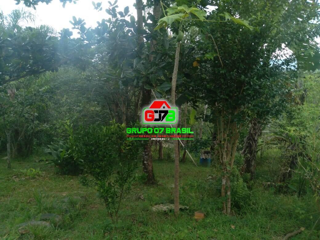 Terreno, 5000 m² - Foto 3