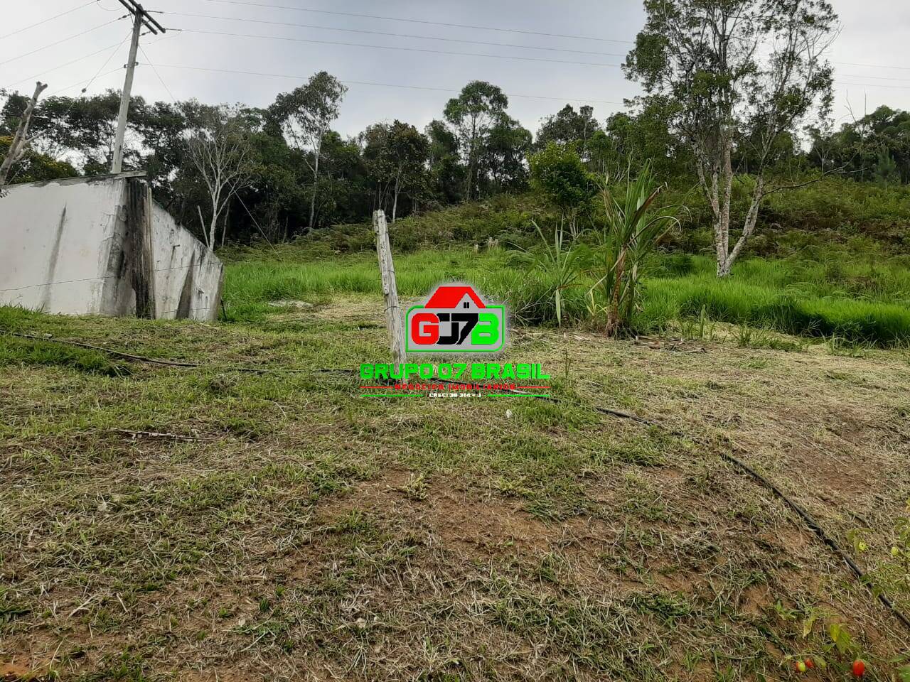 Terreno à venda, 30000m² - Foto 14