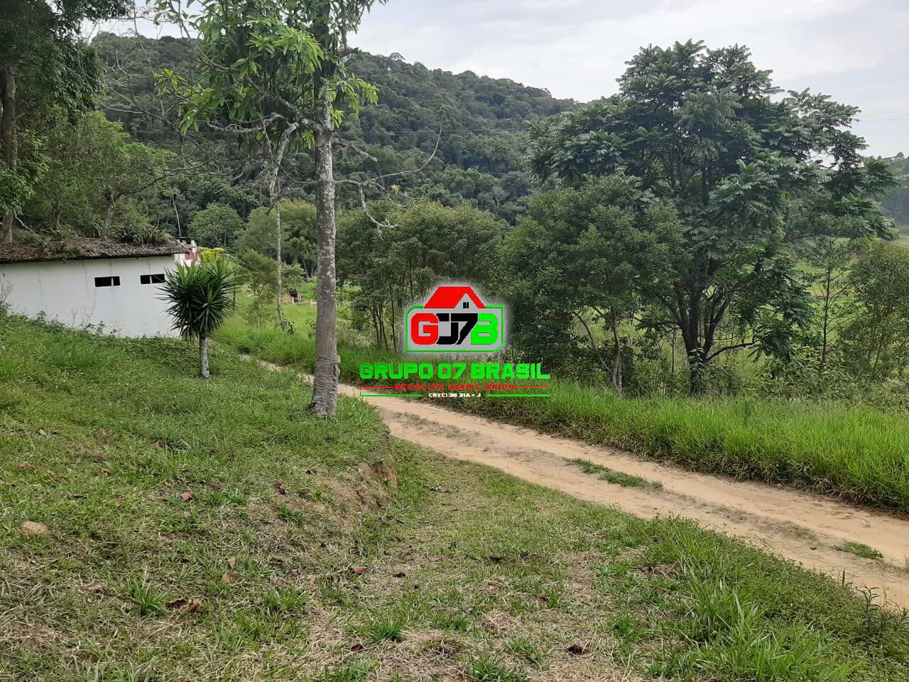 Terreno, 3 hectares - Foto 1
