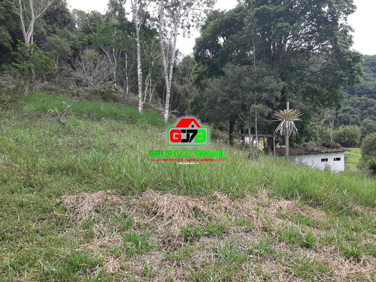 Terreno, 3 hectares - Foto 3