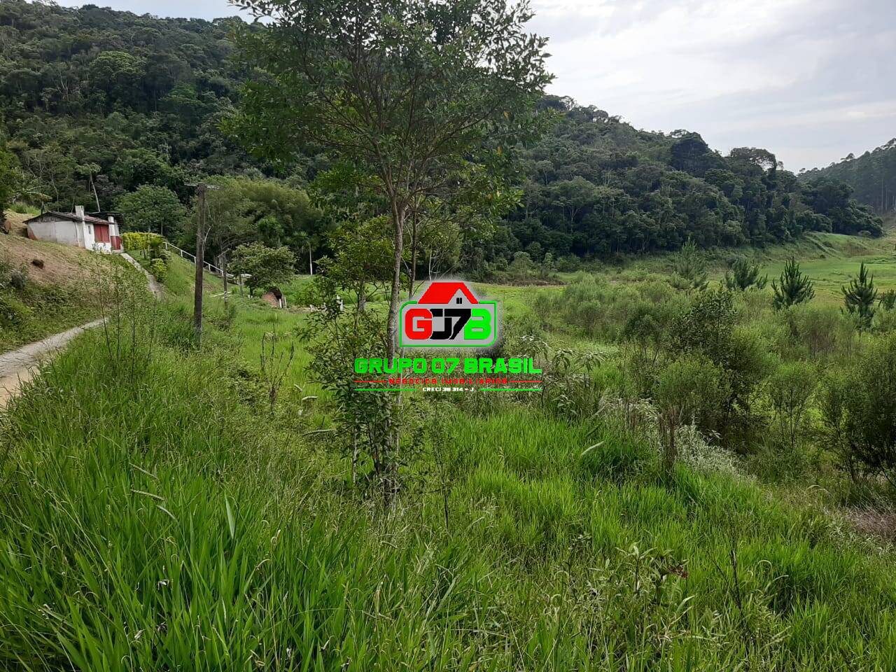 Terreno, 3 hectares - Foto 4