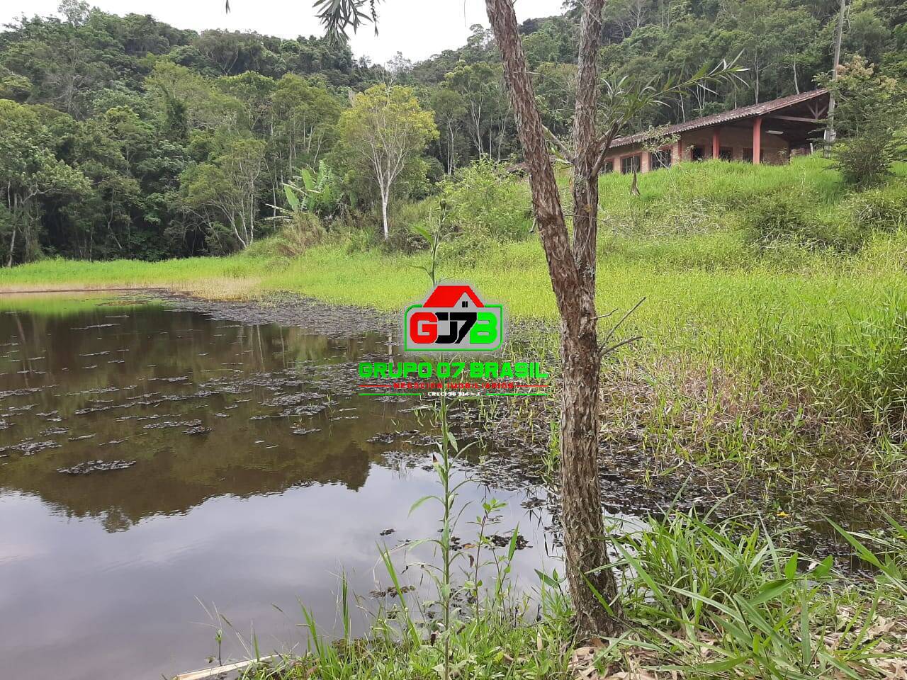Terreno, 3 hectares - Foto 7