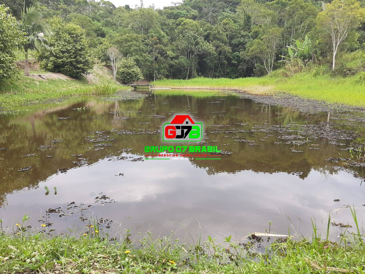 Terreno, 3 hectares - Foto 10