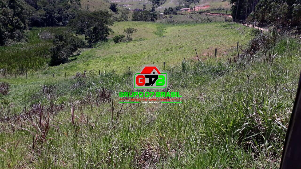 Terreno, 3 hectares - Foto 11