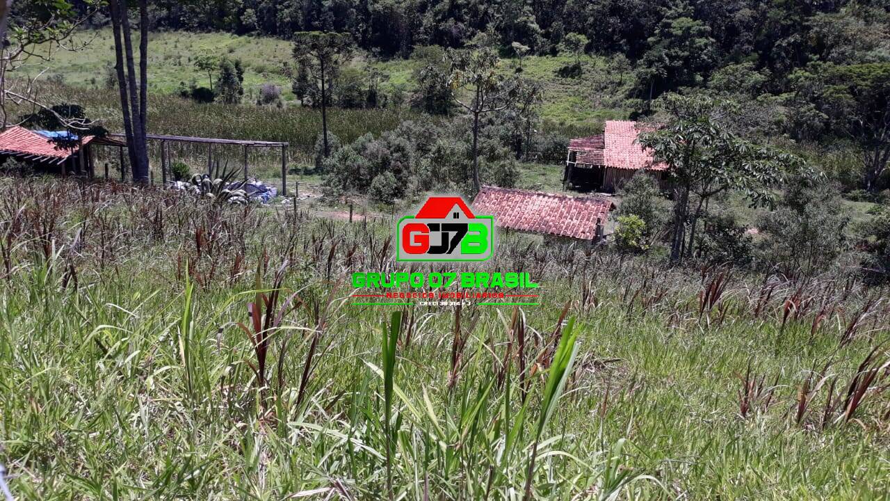 Terreno, 3 hectares - Foto 12