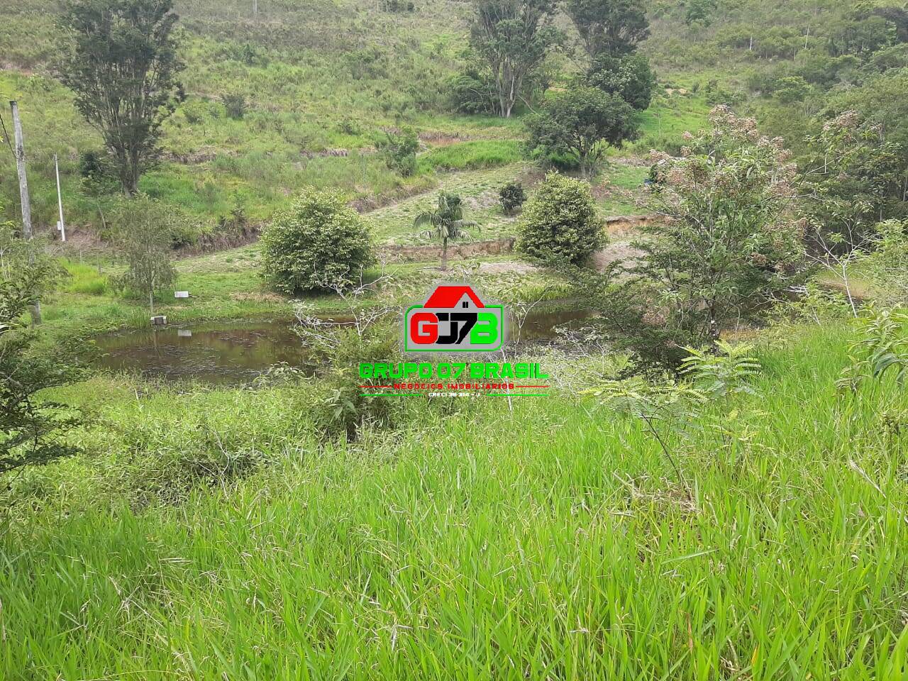 Terreno, 3 hectares - Foto 13