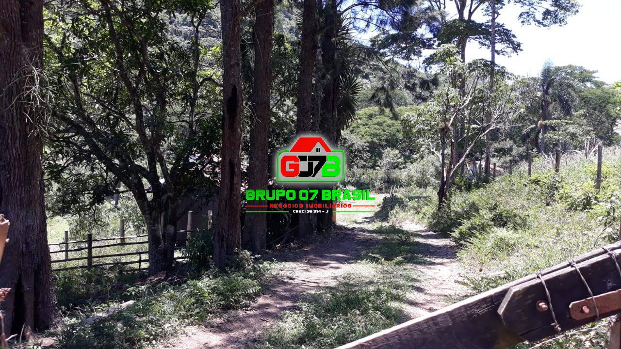 Terreno, 3 hectares - Foto 15