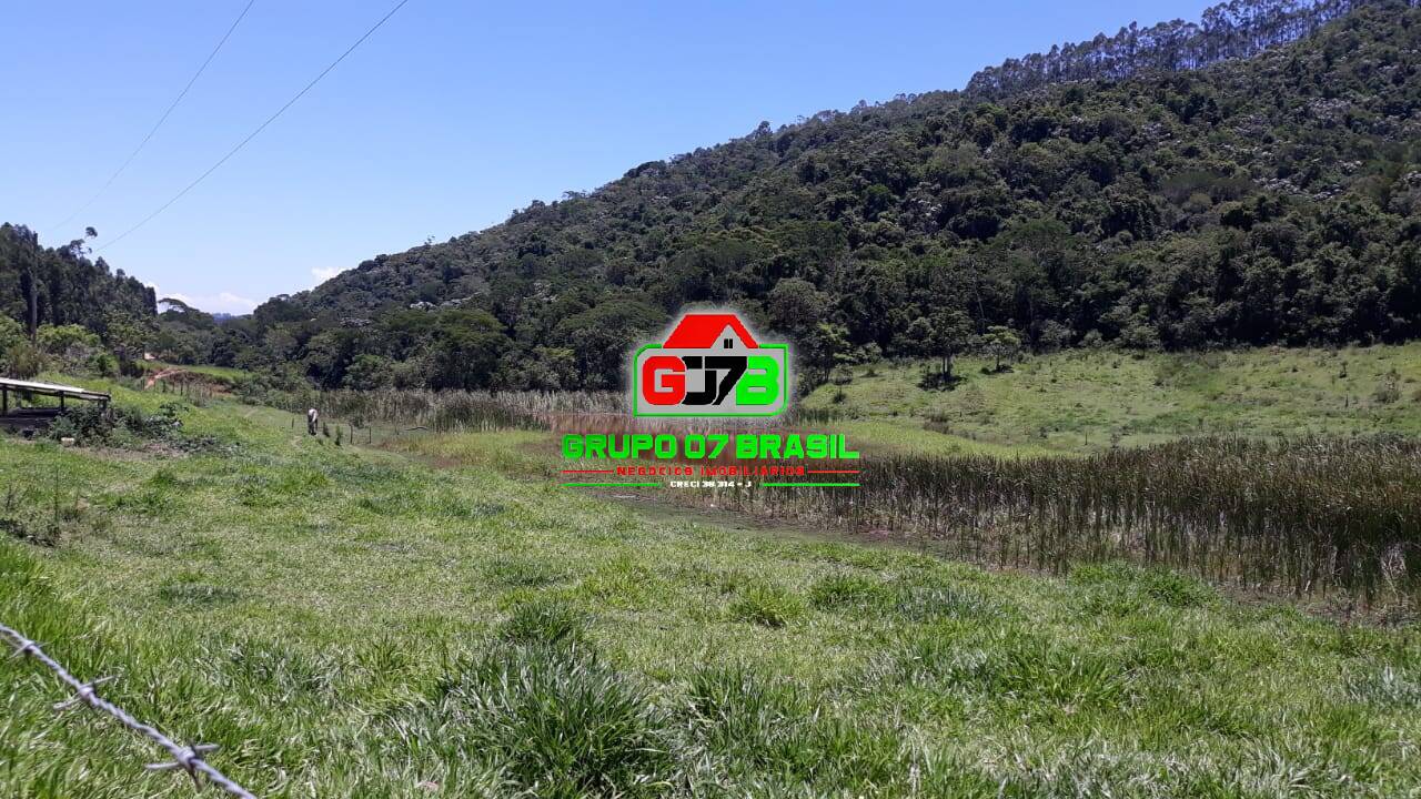 Terreno, 3 hectares - Foto 14