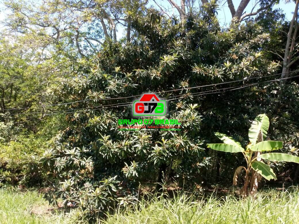 Chácara à venda com 2 quartos, 110m² - Foto 4
