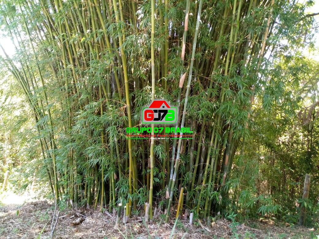 Chácara à venda com 2 quartos, 110m² - Foto 6