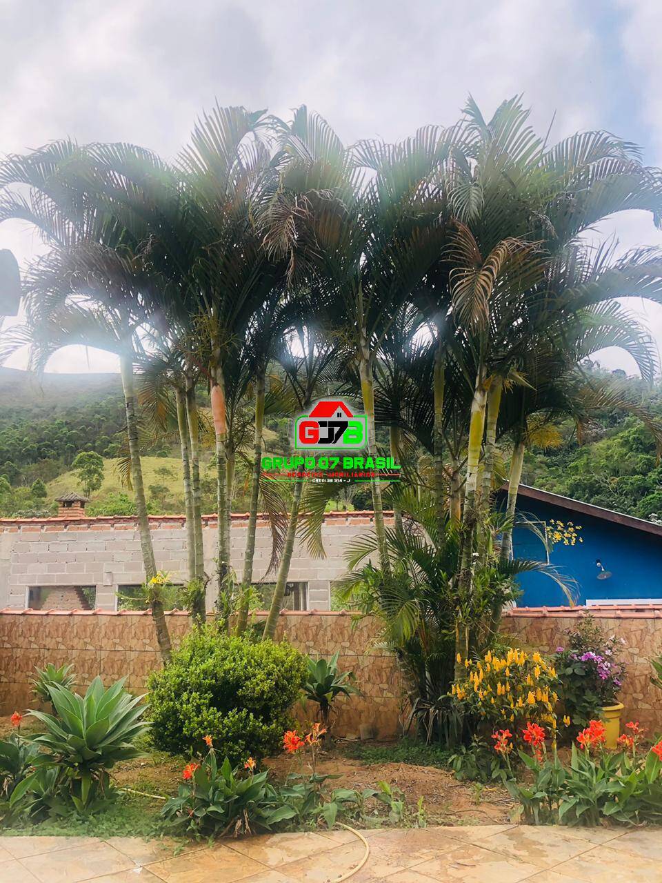 Chácara à venda com 5 quartos, 460m² - Foto 9