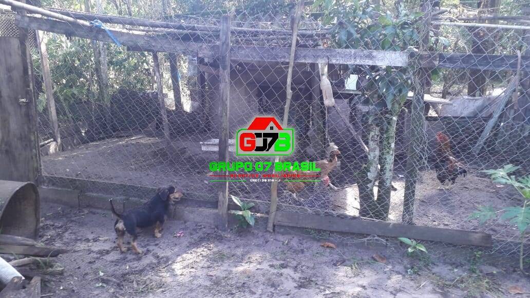 Chácara, 2 quartos, 2800 m² - Foto 9