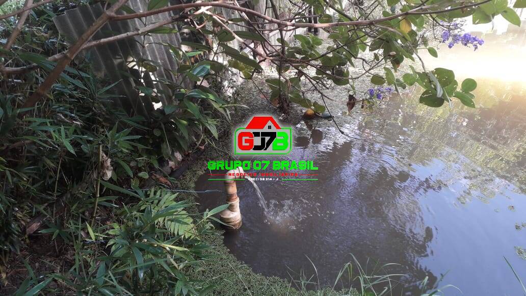 Chácara, 2 quartos, 2800 m² - Foto 2