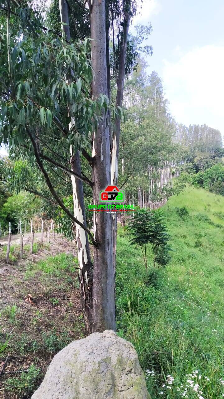 Terreno à venda, 26m² - Foto 11