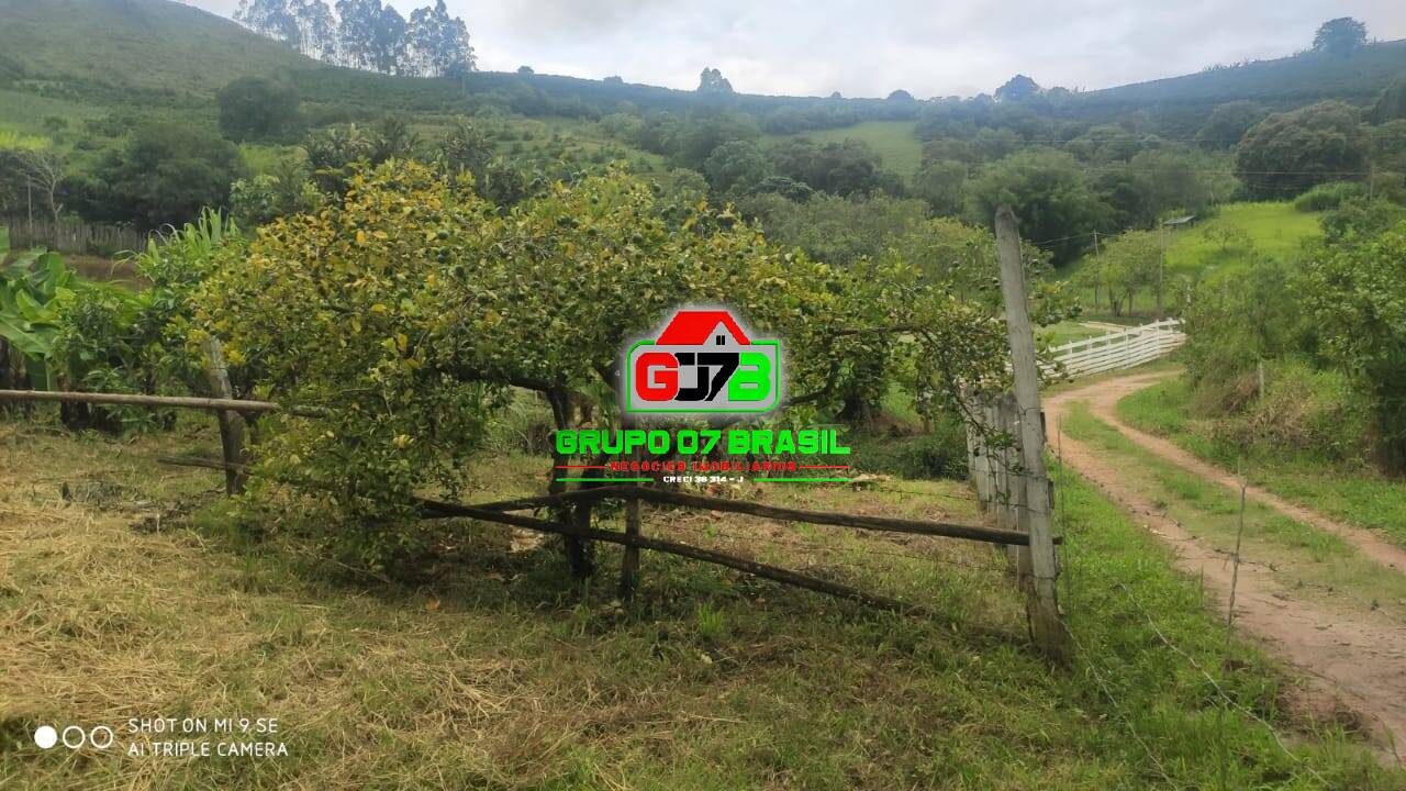 Terreno, 2 hectares - Foto 6