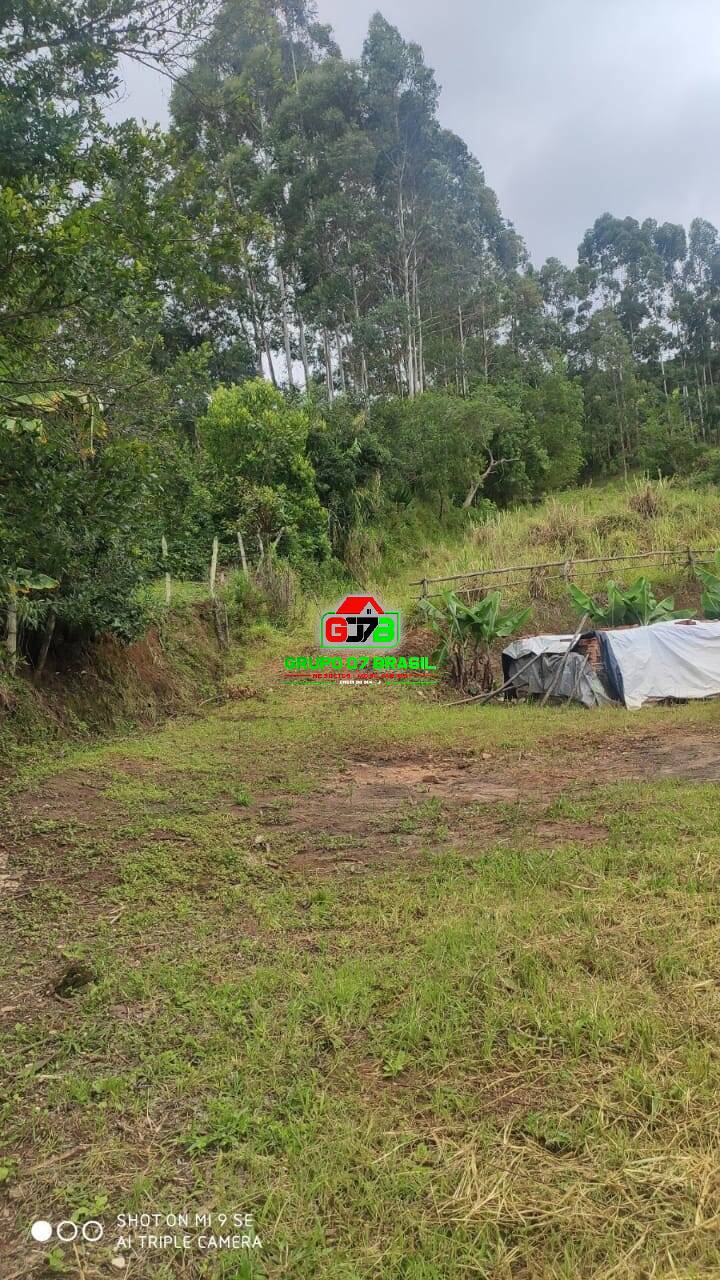 Terreno, 2 hectares - Foto 7