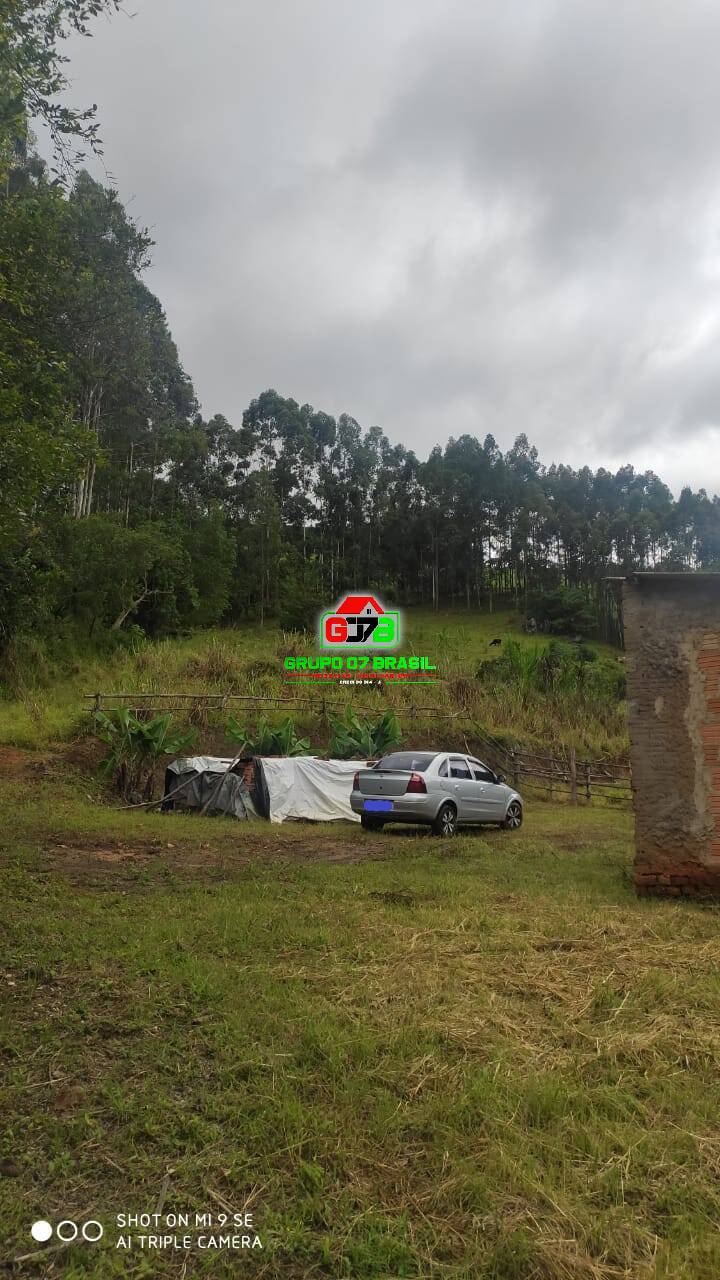Terreno, 2 hectares - Foto 9