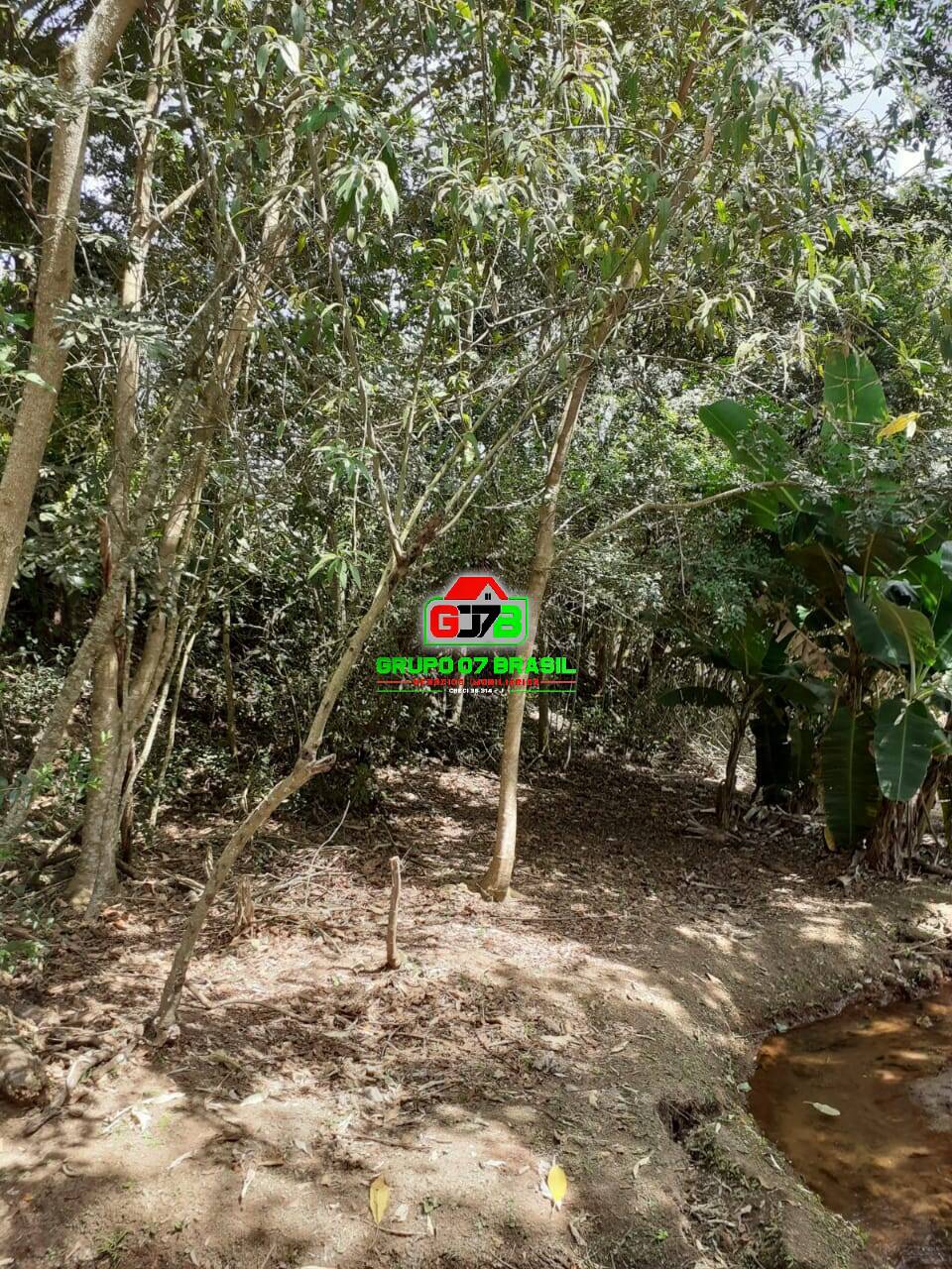 Chácara à venda com 2 quartos, 170m² - Foto 13