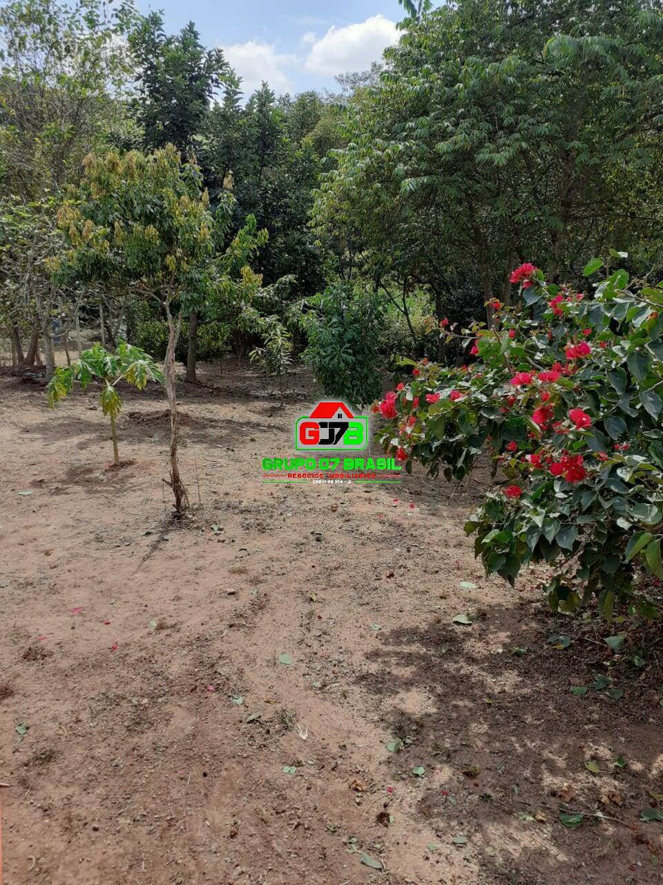 Chácara à venda com 2 quartos, 170m² - Foto 1