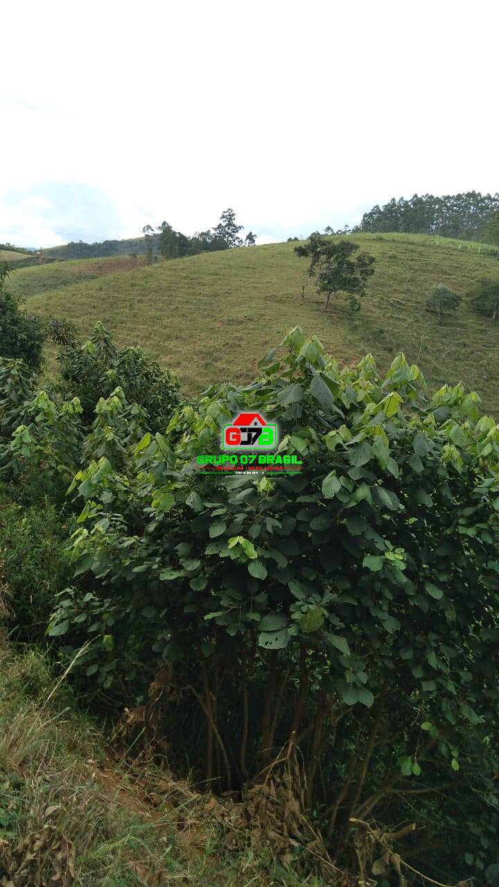Terreno, 2 m² - Foto 3