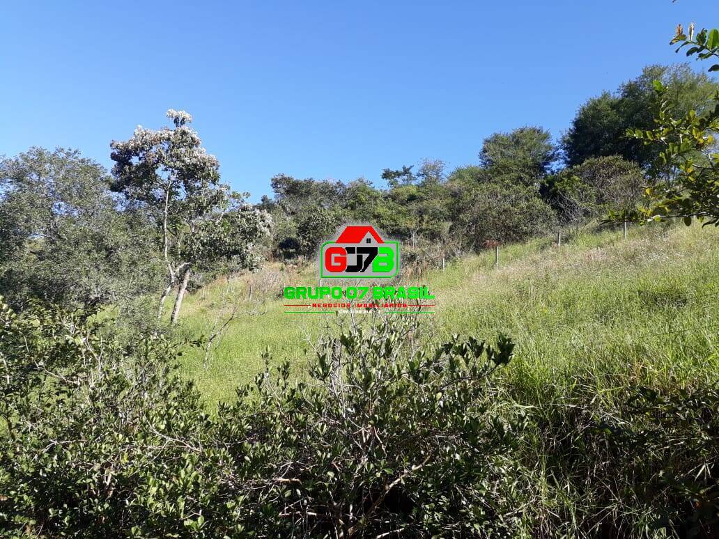 Sítio à venda, 40000m² - Foto 25