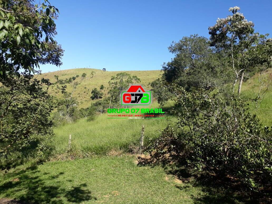 Sítio à venda, 40000m² - Foto 28
