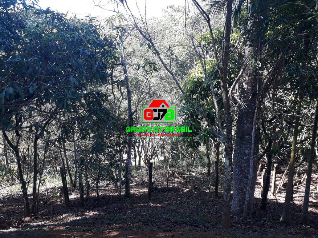 Sítio à venda, 40000m² - Foto 38