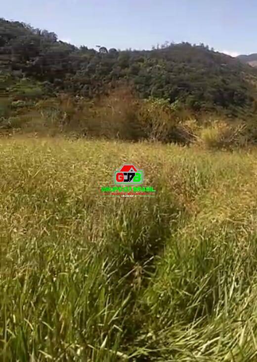 Terreno à venda, 2000m² - Foto 8