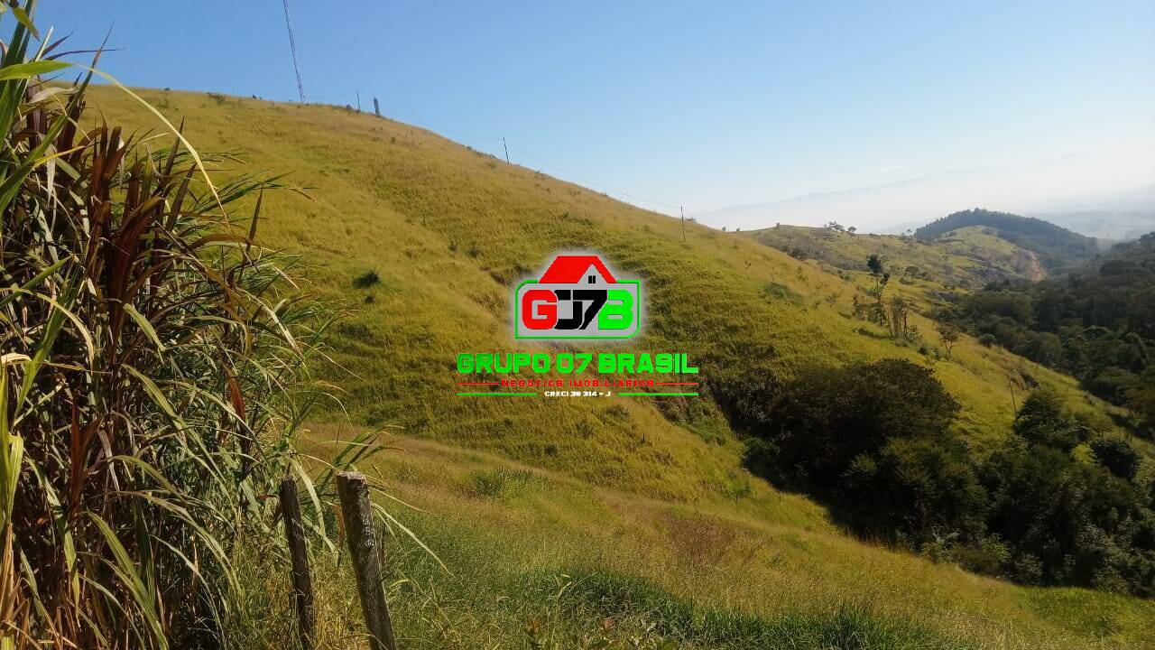 Terreno, 6 hectares - Foto 3